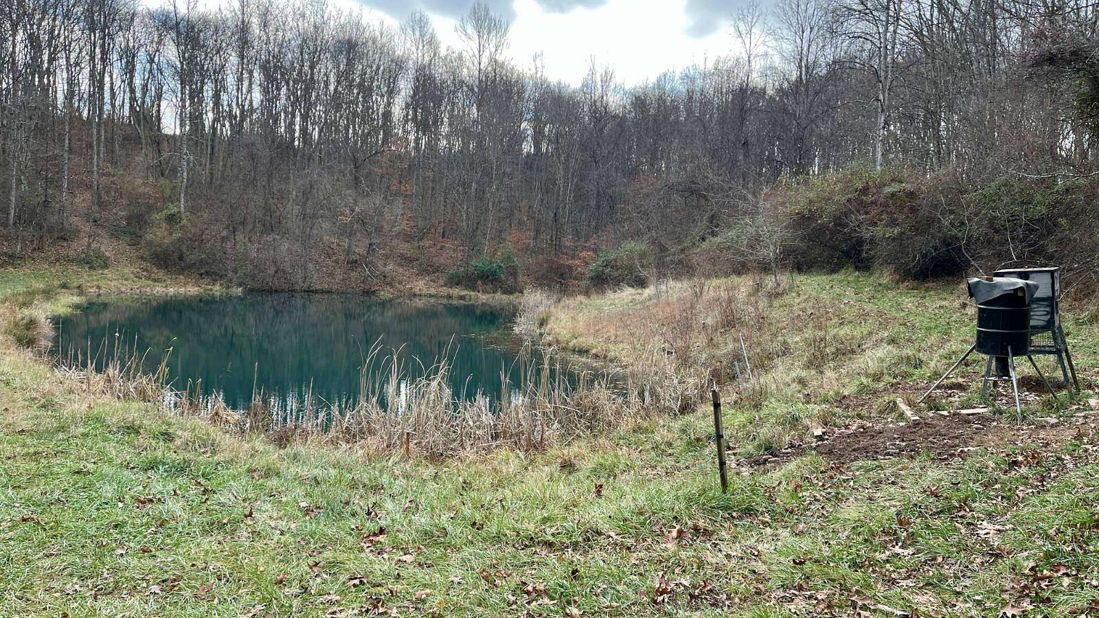 81.2 Acres of Recreational Land for Sale in Athens, Ohio