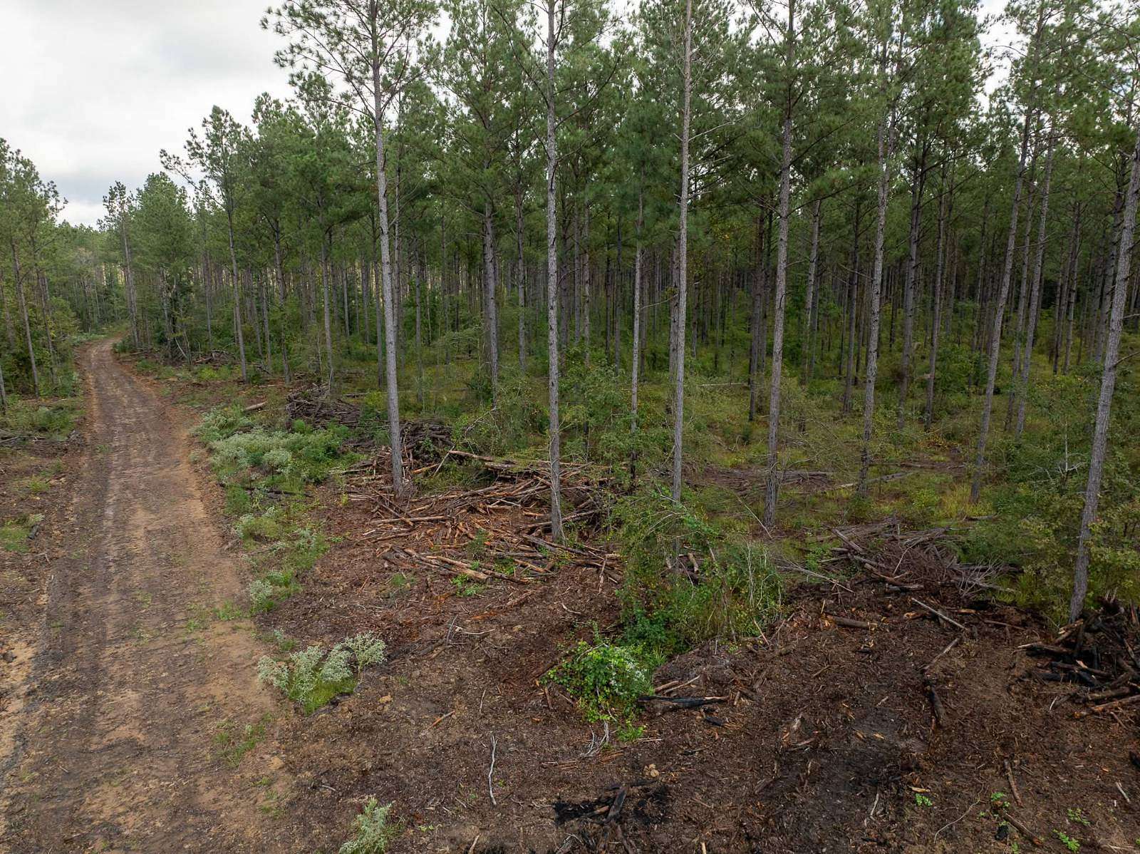 10 Acres of Land for Sale in Brandon, Mississippi