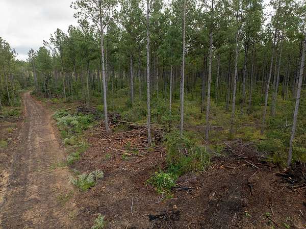 10 Acres of Land for Sale in Brandon, Mississippi