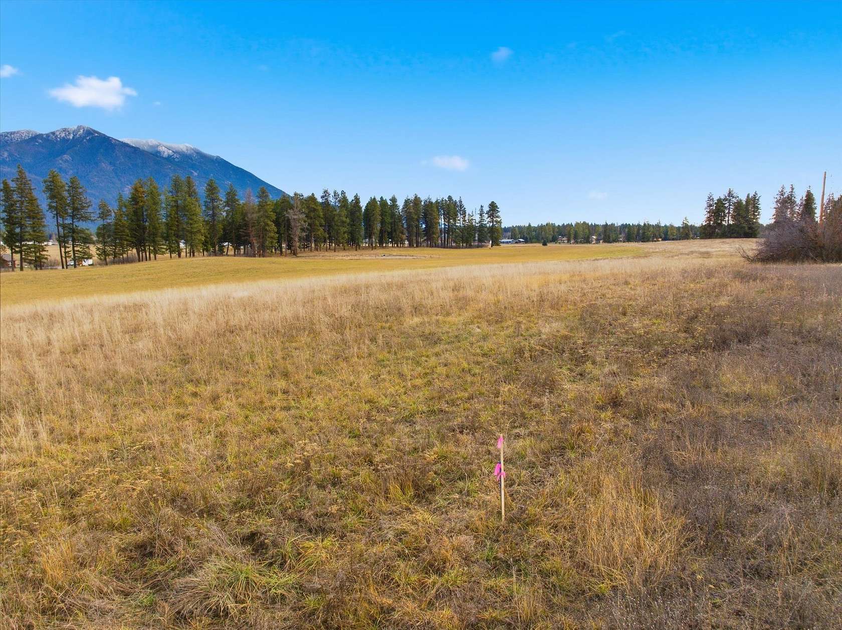 7.26 Acres of Residential Land for Sale in Columbia Falls, Montana
