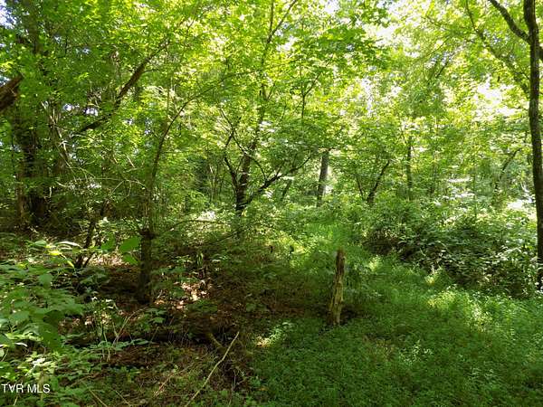 0.63 Acres of Residential Land for Sale in Rogersville, Tennessee