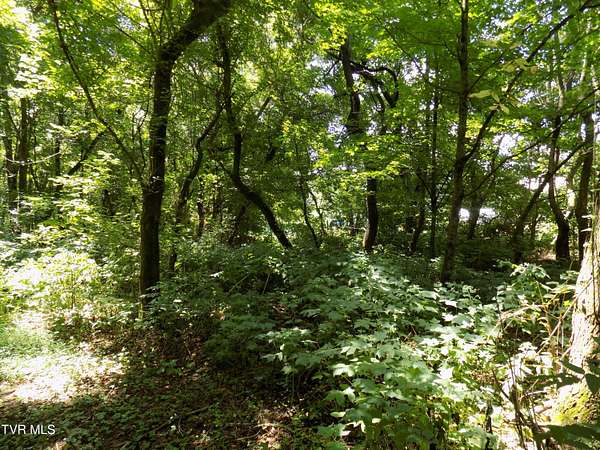 0.64 Acres of Residential Land for Sale in Rogersville, Tennessee