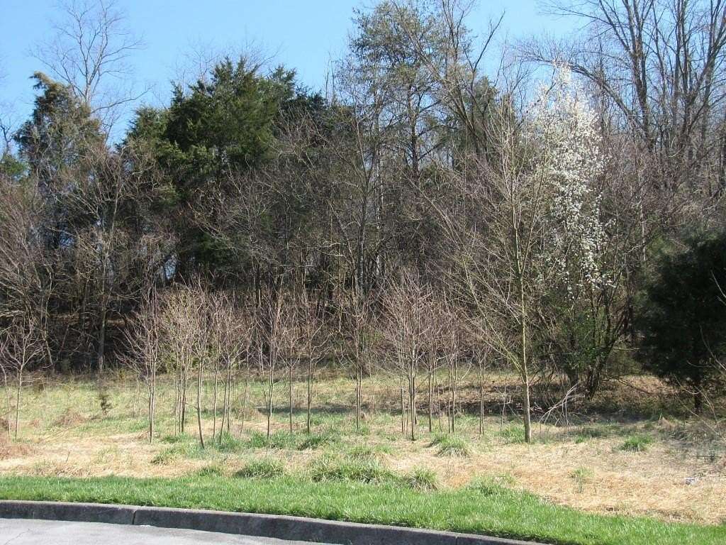 0.57 Acres of Commercial Land for Sale in Kingsport, Tennessee