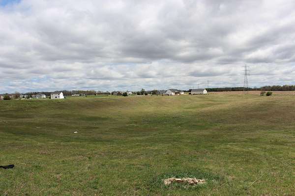 13.7 Acres of Land for Sale in Manchester, Michigan