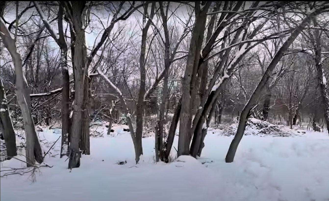 0.58 Acres of Land for Sale in Crest Hill, Illinois