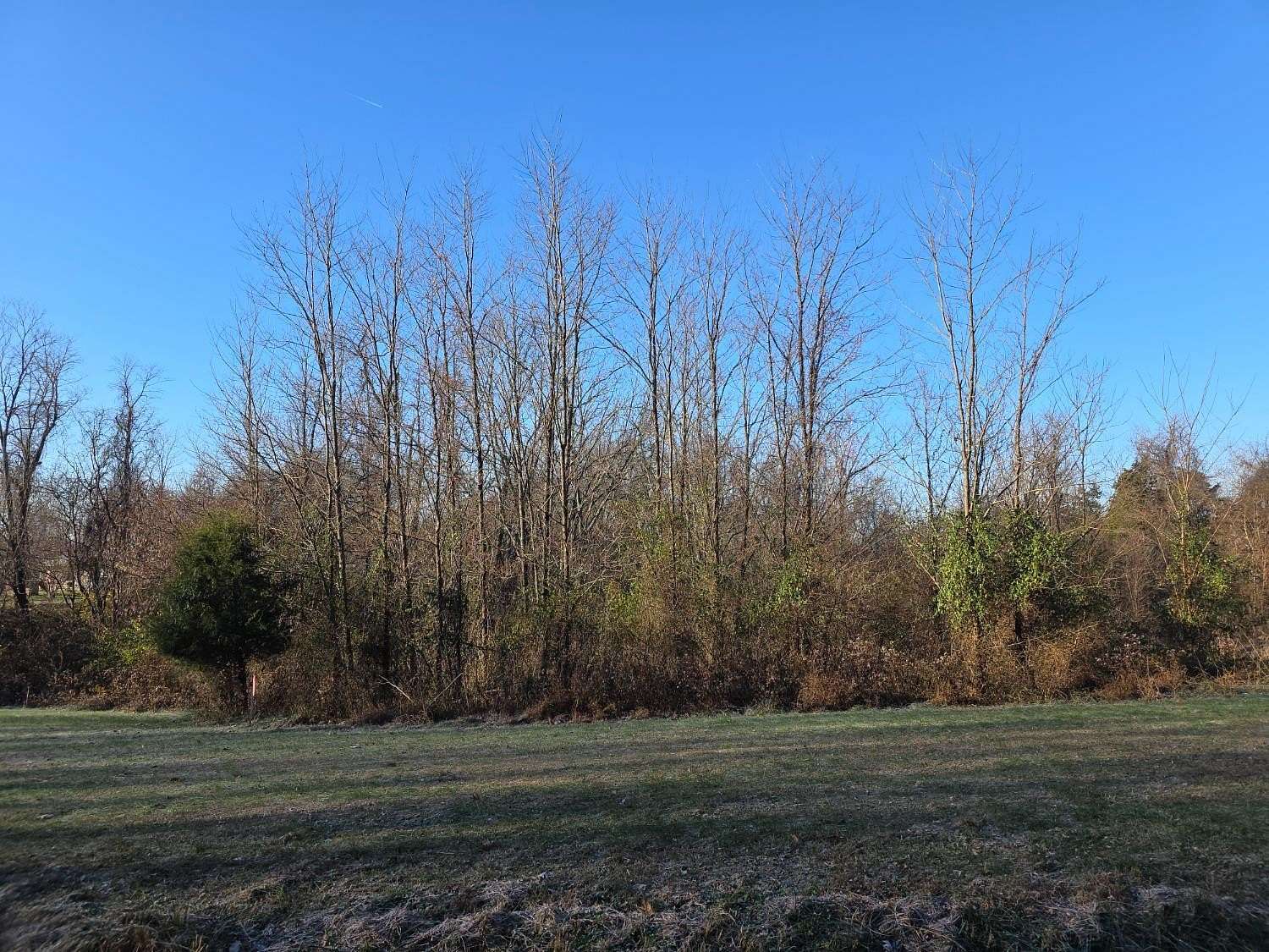 5 Acres of Residential Land for Sale in Rising Sun, Indiana