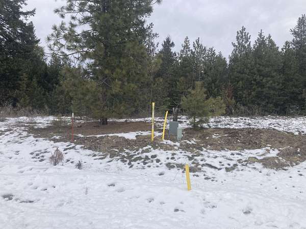 0.36 Acres of Residential Land for Sale in Loon Lake, Washington