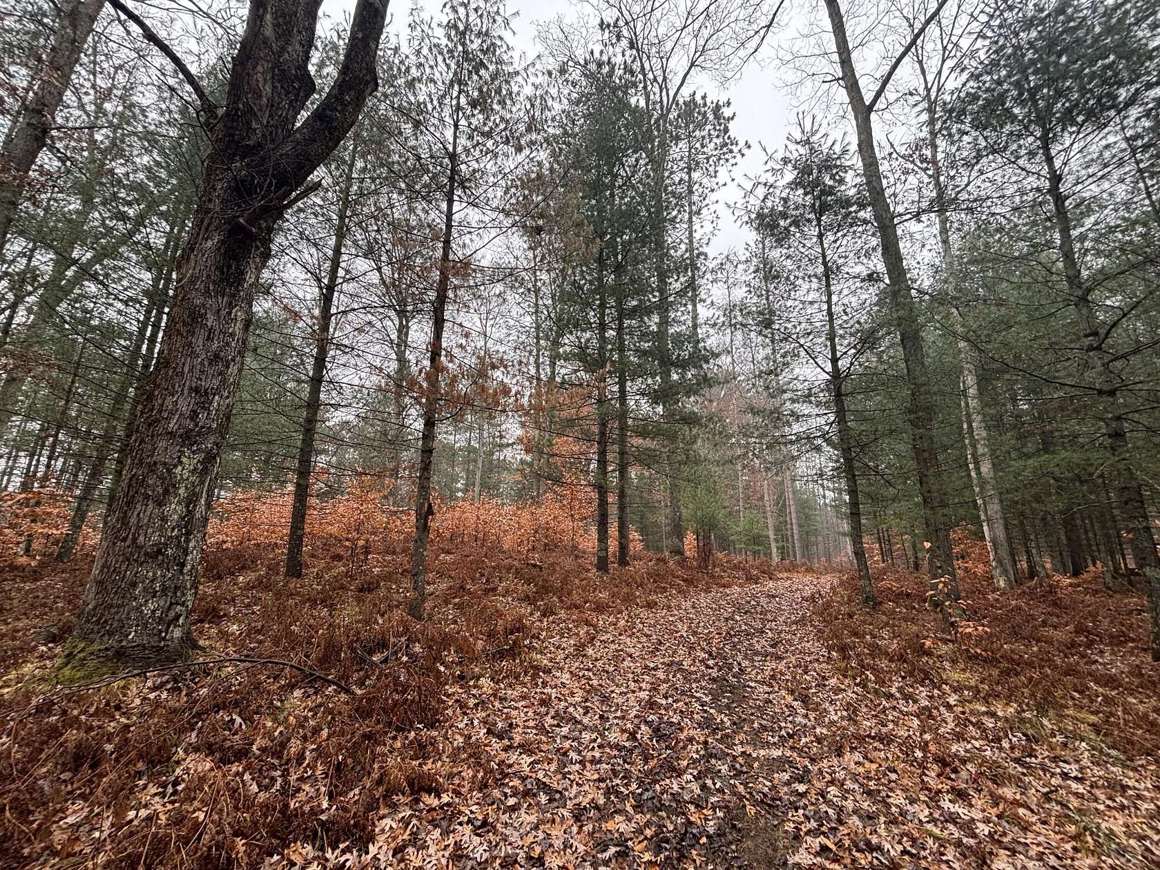 18.3 Acres of Recreational Land for Sale in Custer, Michigan