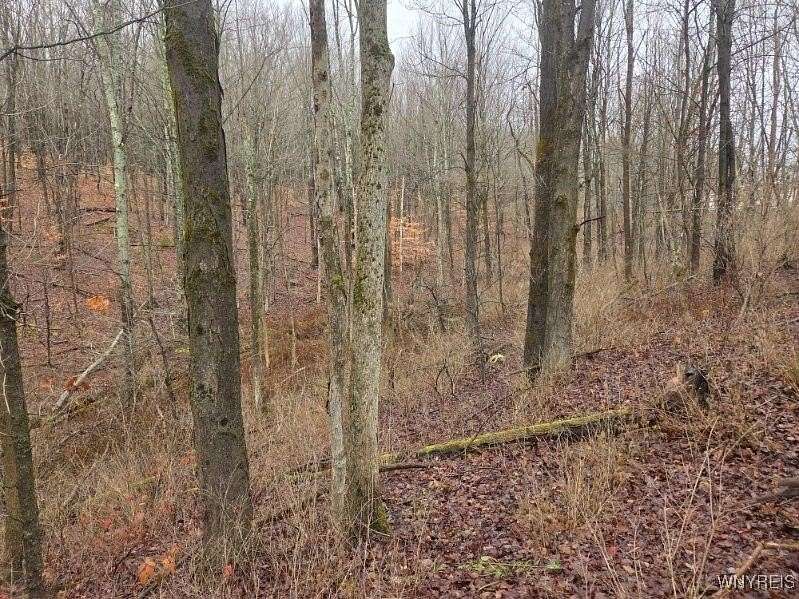 7.73 Acres of Residential Land for Sale in West Valley, New York