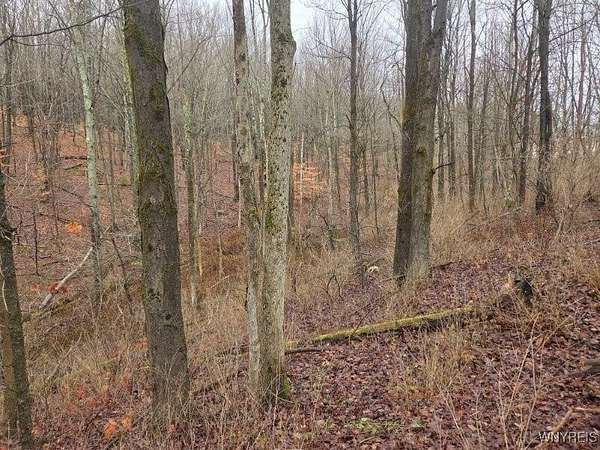 7.73 Acres of Residential Land for Sale in West Valley, New York