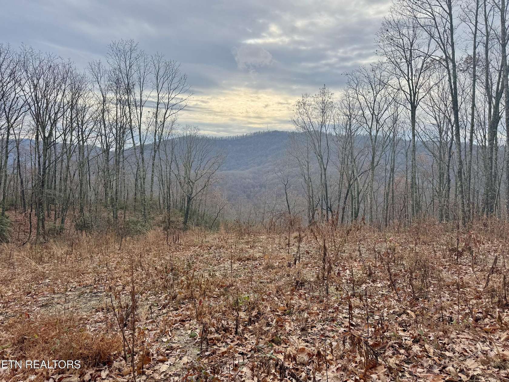 10 Acres of Land for Sale in Pioneer, Tennessee