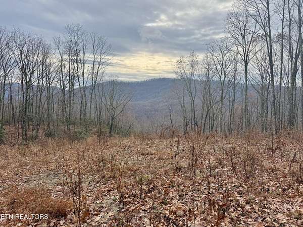 10 Acres of Land for Sale in Pioneer, Tennessee