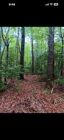 5.5 Acres of Land for Sale in Ellijay, Georgia