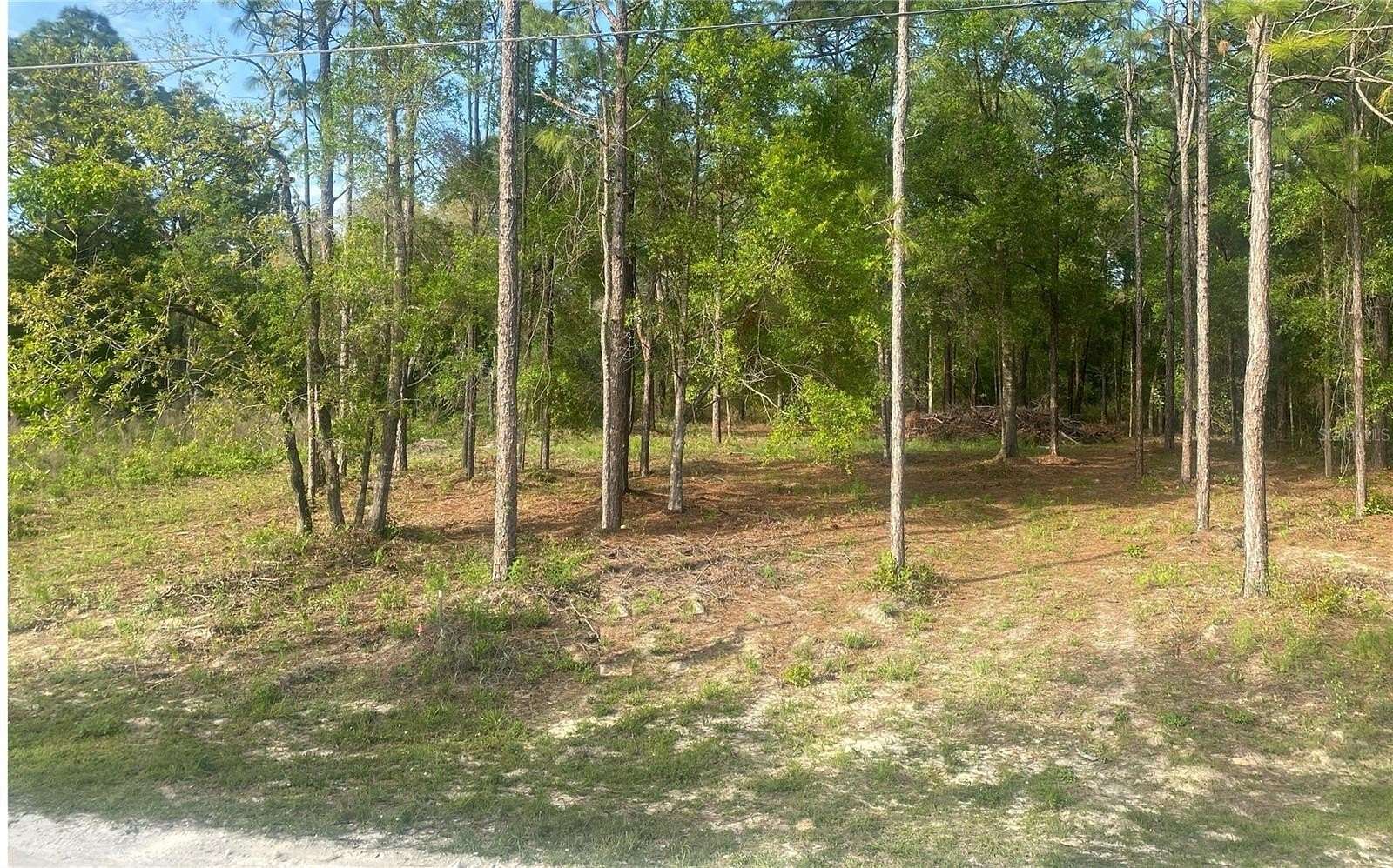 0.51 Acres of Residential Land for Sale in Weeki Wachee, Florida
