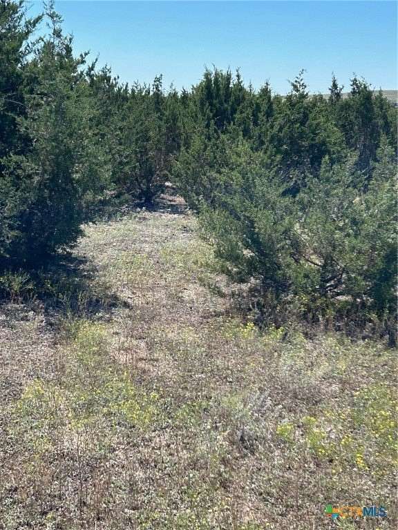 3.45 Acres of Residential Land for Sale in Gatesville, Texas