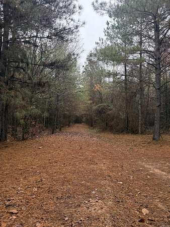 120 Acres of Recreational Land for Sale in Lockesburg, Arkansas