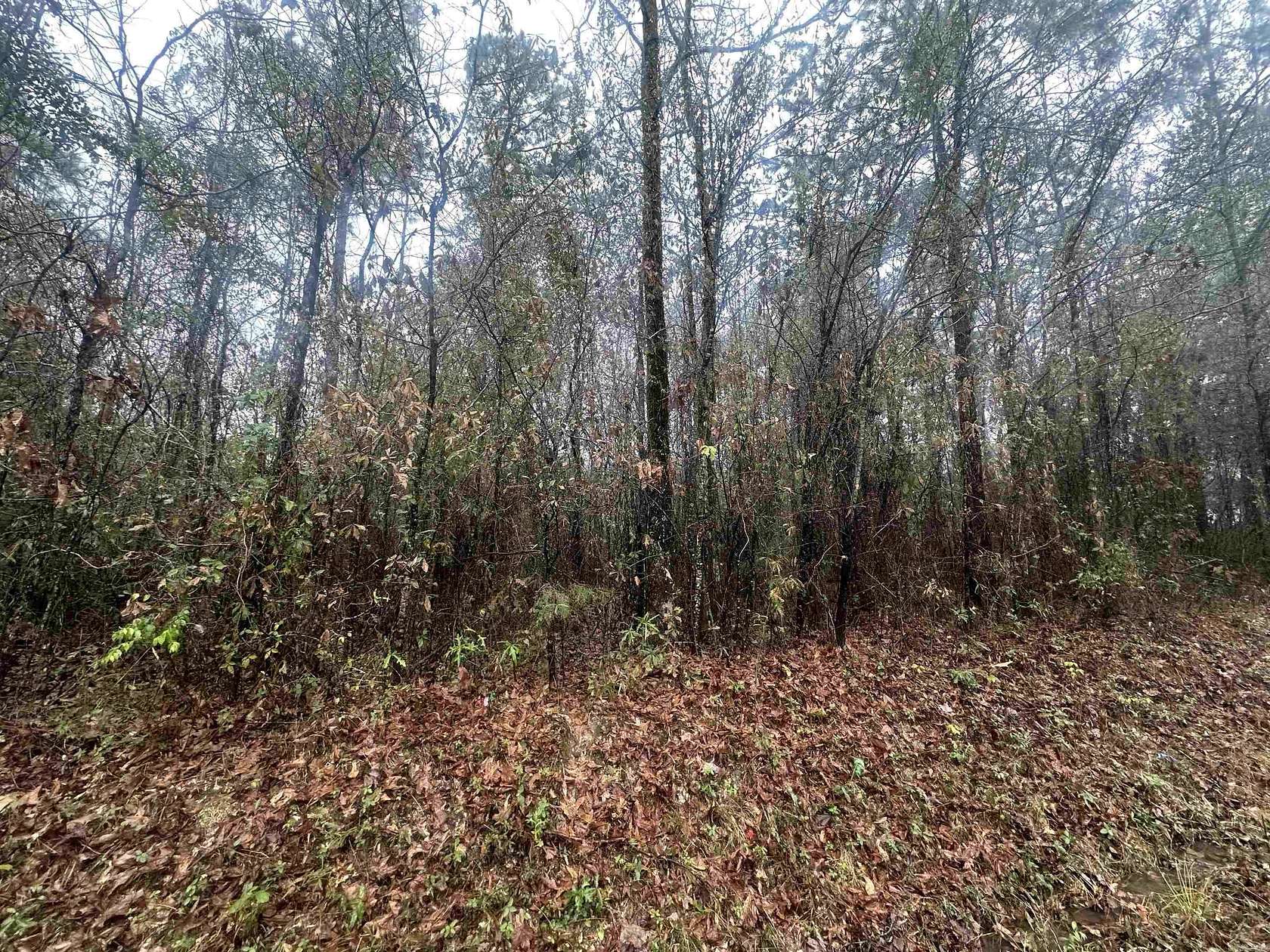 0.46 Acres of Residential Land for Sale in Sheridan, Arkansas