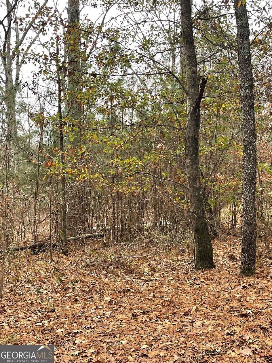22 Acres of Land for Sale in Rome, Georgia