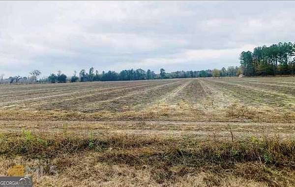 13 Acres of Land for Sale in Brooklet, Georgia