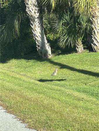 0.21 Acres of Residential Land for Sale in Placida, Florida