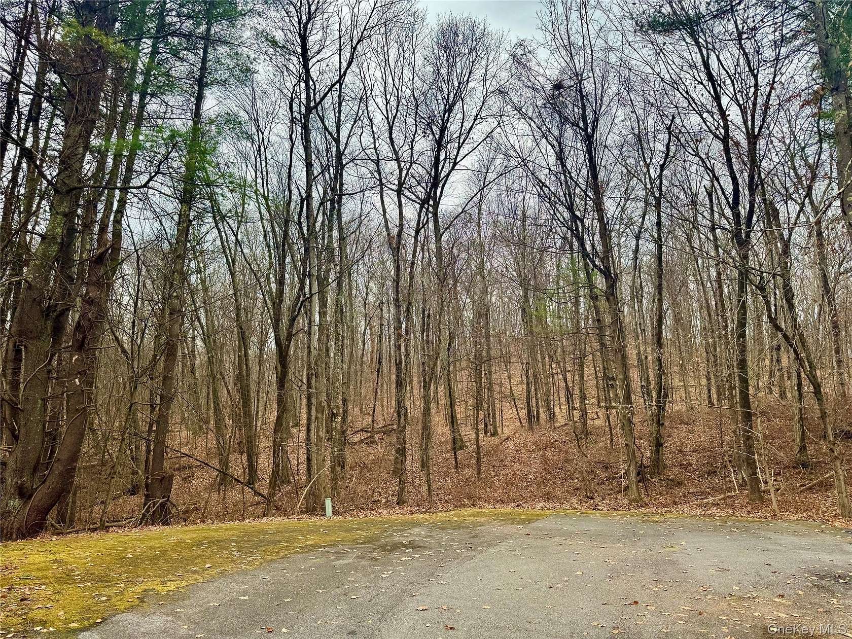 16.7 Acres of Land for Sale in Pawling, New York