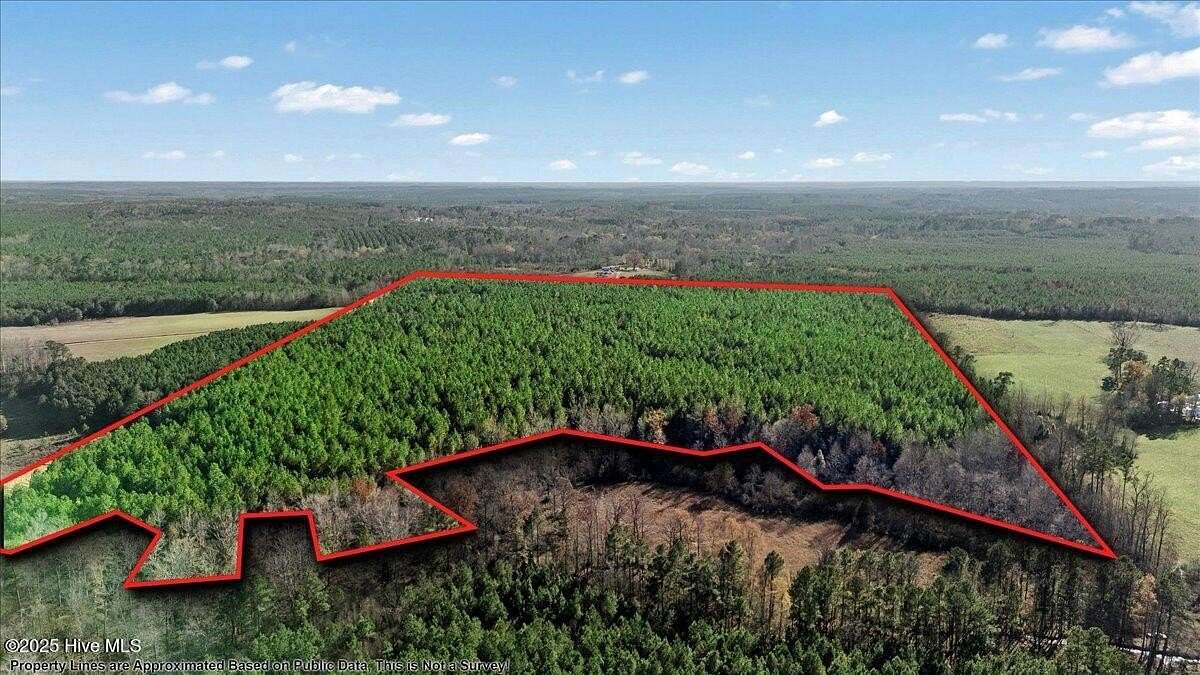53 Acres of Recreational Land for Sale in Hollister, North Carolina
