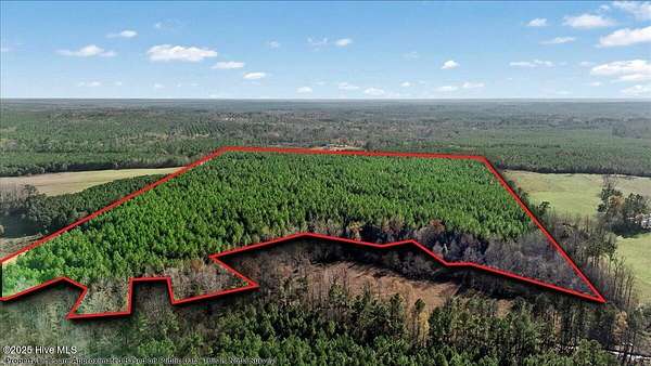 53 Acres of Recreational Land for Sale in Hollister, North Carolina