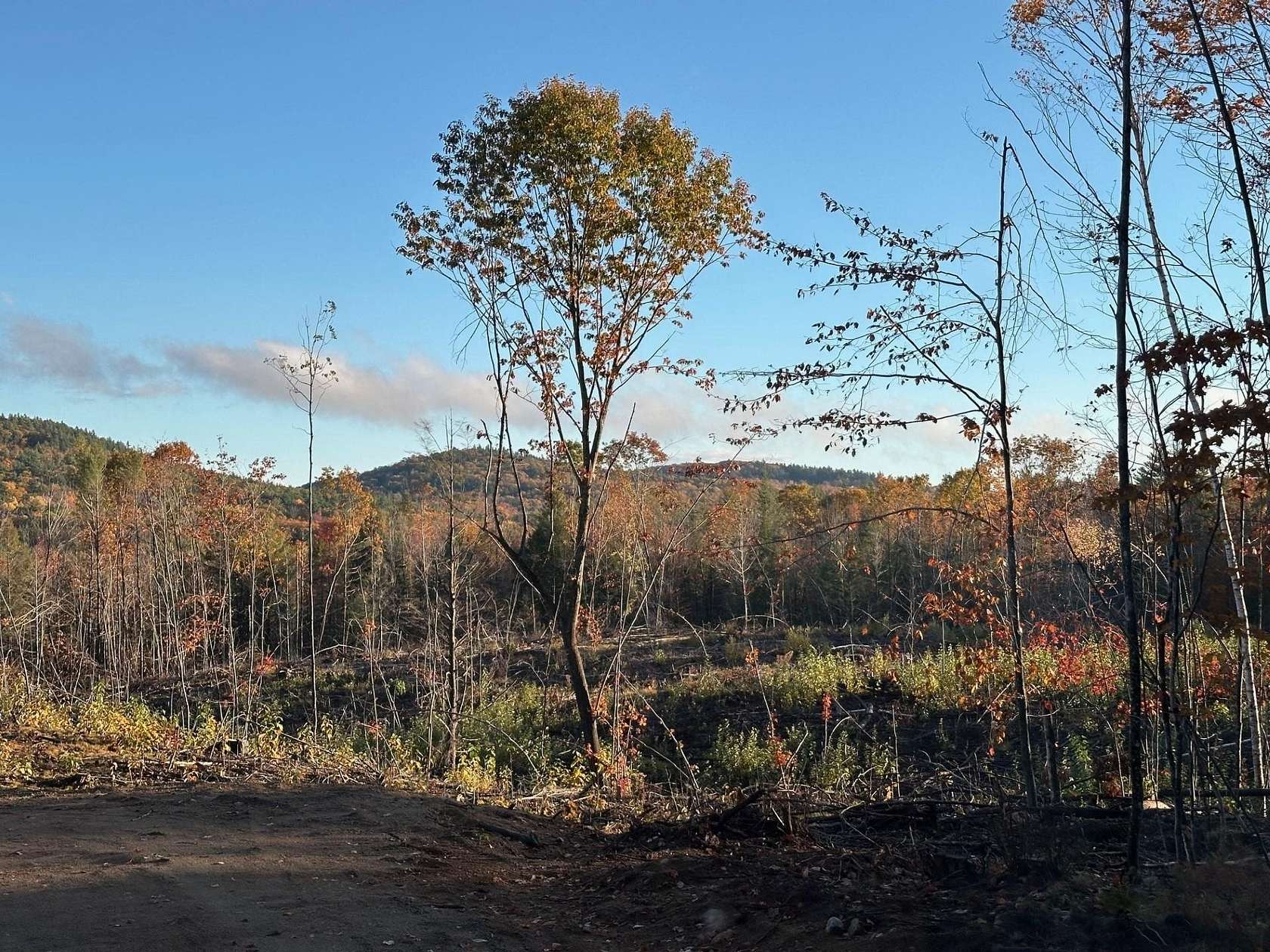 5 Acres of Residential Land for Sale in Ossipee, New Hampshire