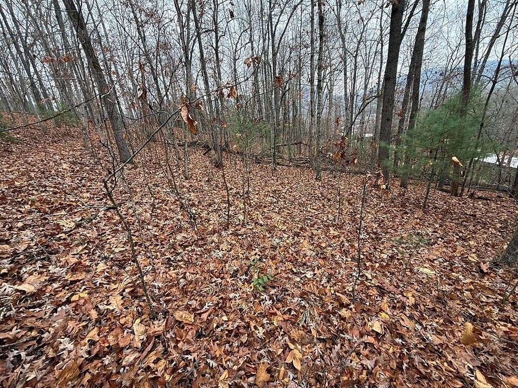 1.13 Acres of Land for Sale in Hayesville, North Carolina