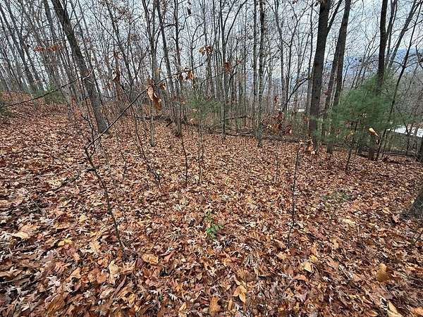 1.13 Acres of Land for Sale in Hayesville, North Carolina
