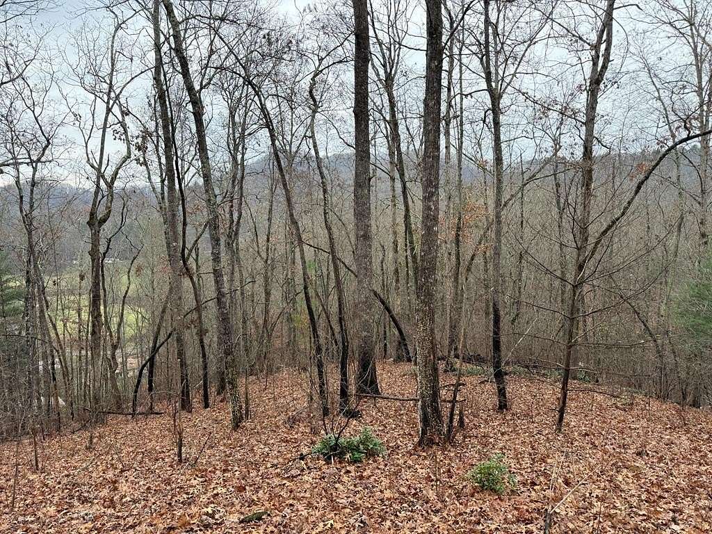 Land for Sale in Hayesville, North Carolina