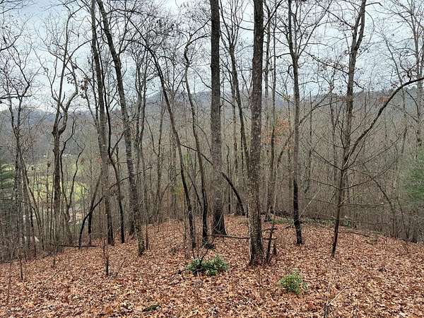 Land for Sale in Hayesville, North Carolina