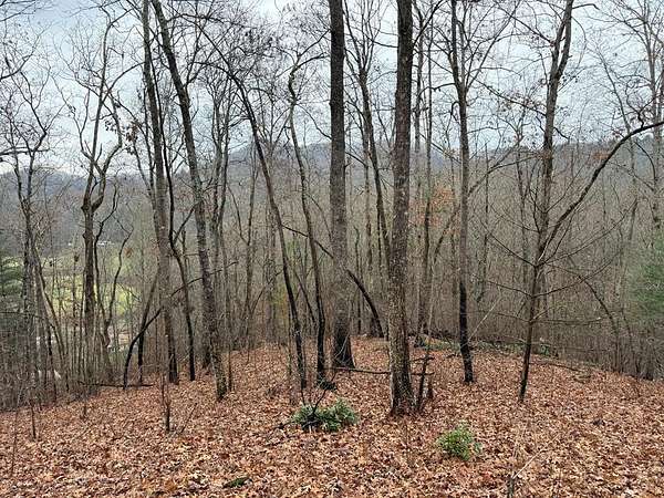 1.3 Acres of Land for Sale in Hayesville, North Carolina