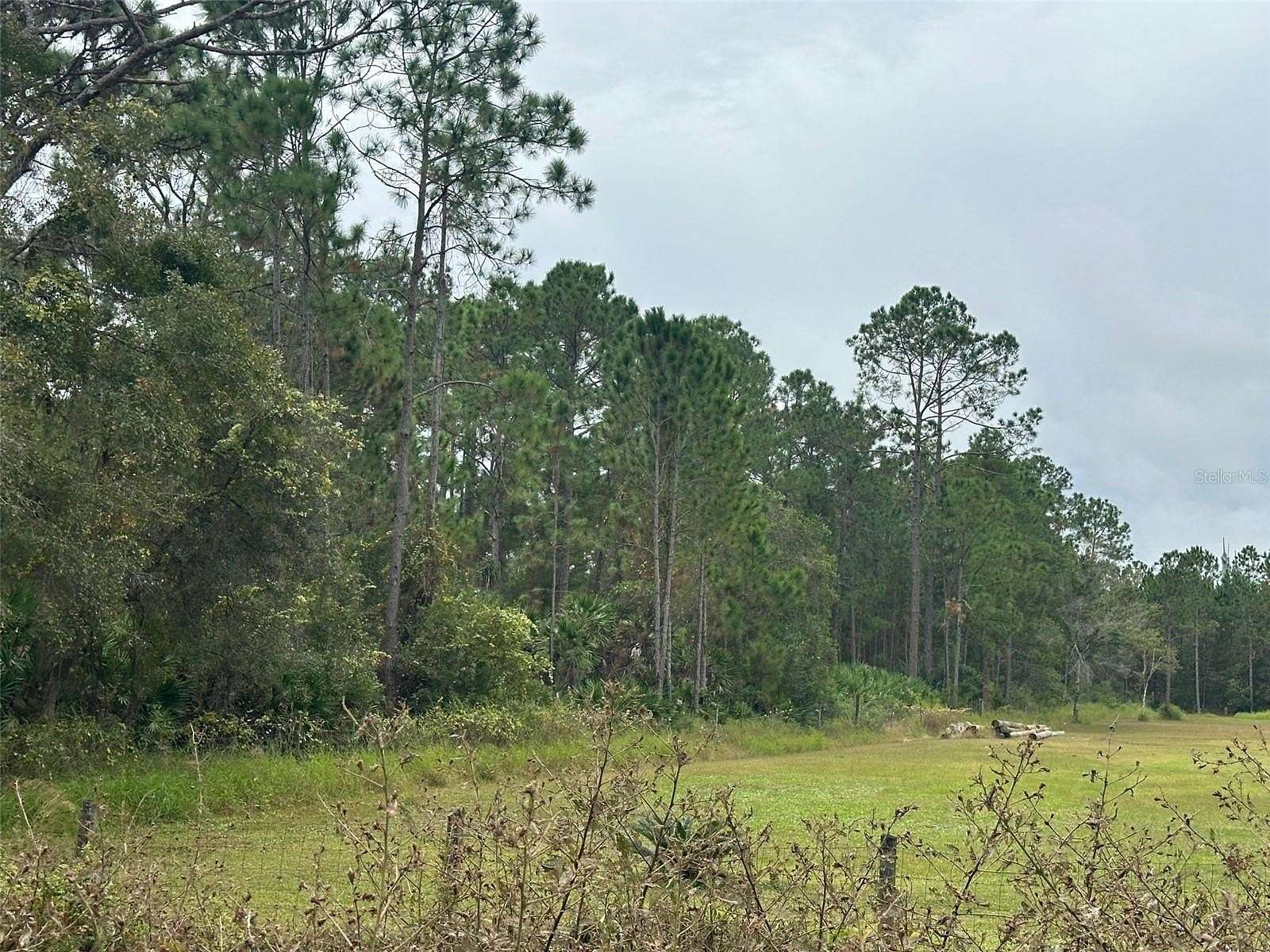 5 Acres of Residential Land for Sale in Geneva, Florida