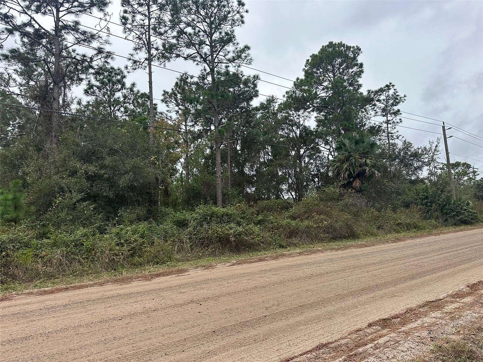 5 Acres of Residential Land for Sale in Geneva, Florida