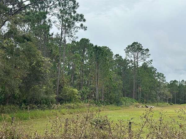 5 Acres of Residential Land for Sale in Geneva, Florida