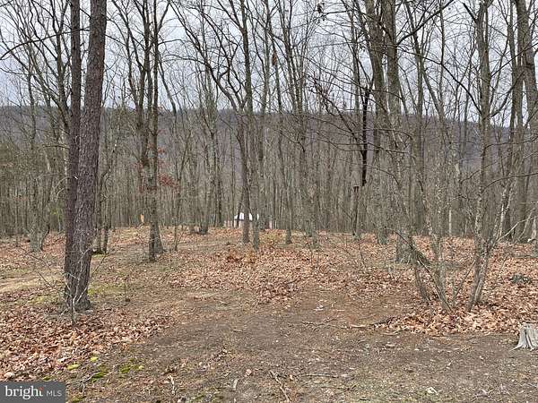 9.5 Acres of Residential Land for Sale in Springfield, West Virginia