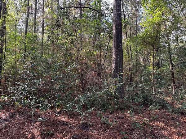 2 Acres of Residential Land for Sale in Logansport, Louisiana
