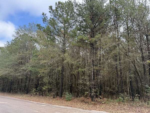 3 Acres of Residential Land for Sale in Jefferson, Texas