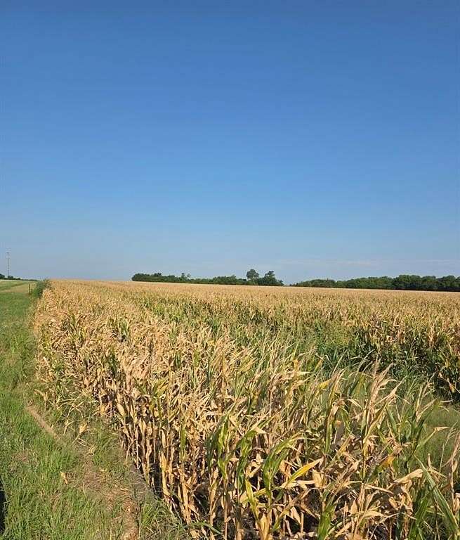 35.2 Acres of Agricultural Land for Sale in Honey Grove, Texas