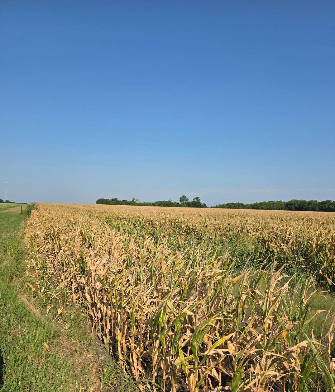 35.2 Acres of Agricultural Land for Sale in Honey Grove, Texas