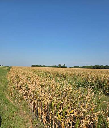 35.2 Acres of Agricultural Land for Sale in Honey Grove, Texas