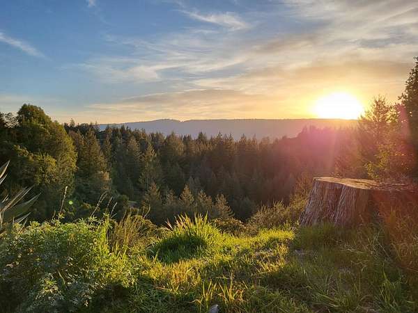 4.75 Acres of Residential Land for Sale in Boulder Creek, California