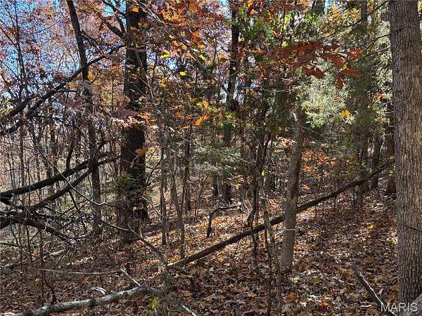 0.7 Acres of Residential Land for Sale in Potosi, Missouri