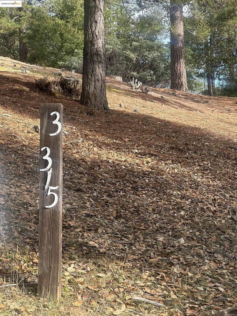 0.38 Acres of Residential Land for Sale in Groveland, California