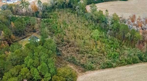 30.5 Acres of Land for Sale in Harleyville, South Carolina