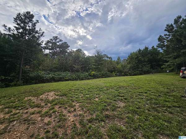 9.35 Acres of Residential Land for Sale in Clanton, Alabama