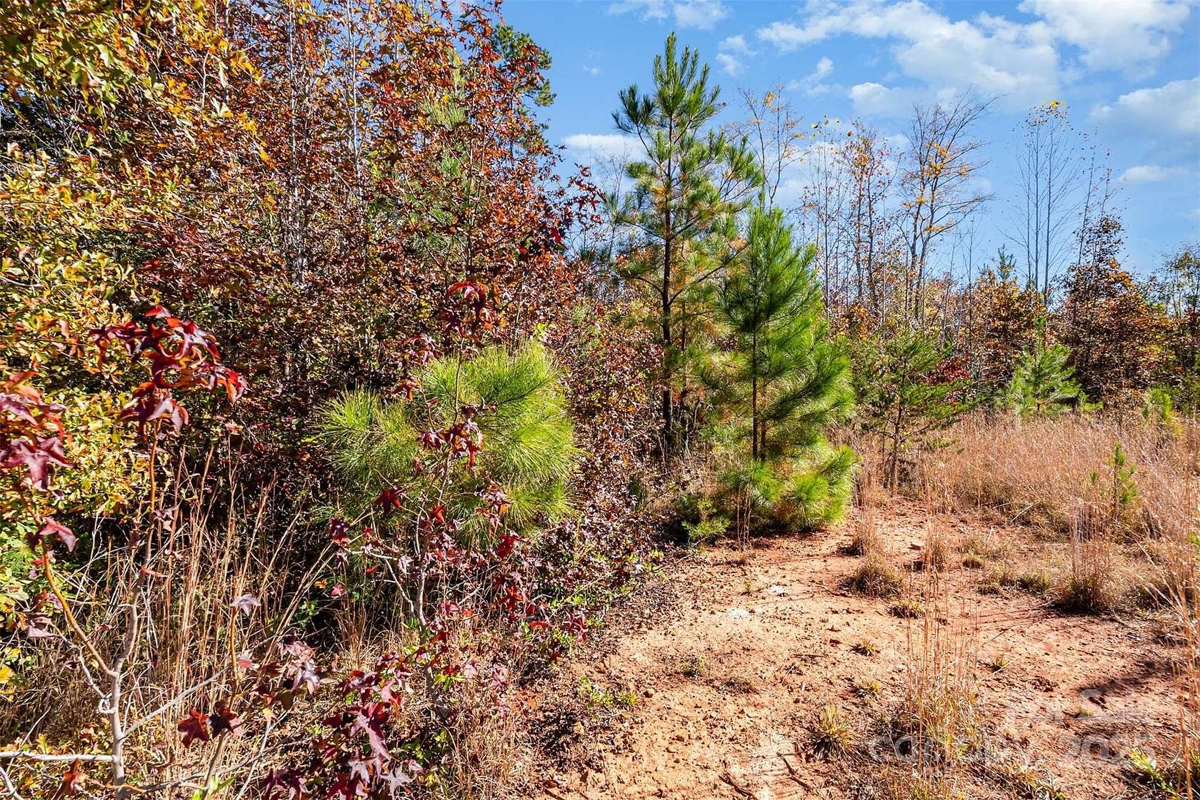 42 Acres of Recreational Land for Sale in Hickory Grove, South Carolina