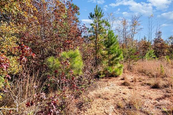 42 Acres of Recreational Land for Sale in Hickory Grove, South Carolina