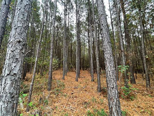 14.3 Acres of Land for Sale in Troup, Texas